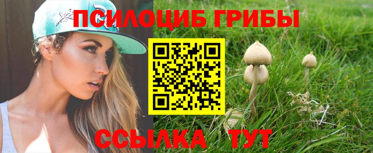 Галлюциногенные грибы Psilocybine cubensis  Вход с VPN  Отрадное 
